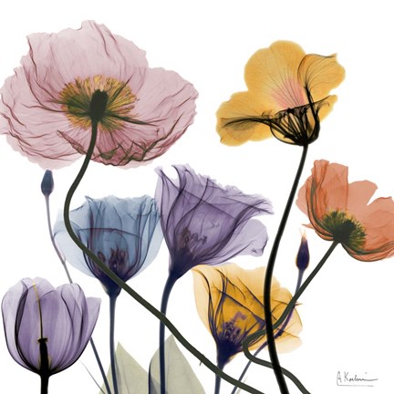 Framed Blissful Garden 2 Print