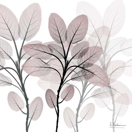 Framed Embraced Affection Print