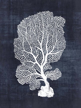 Framed Sea Fan 1 Print