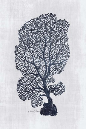 Framed Sea Fan 2 Print