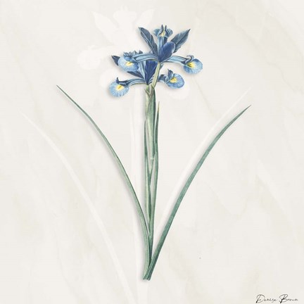 Framed Blue Botanical 2 Print