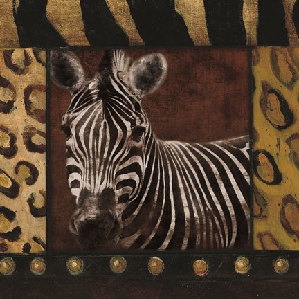 Framed Zebra bordered Print