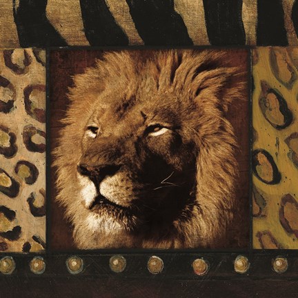 Framed Lion Bordered Print