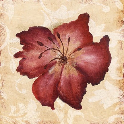 Framed Red Flower 1 Print