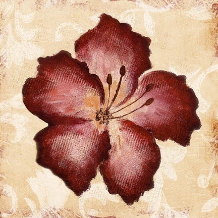 Framed Red Flower 2 Print