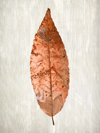 Framed Copper Leaves 1 Print