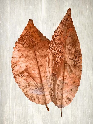 Framed Copper Leaves 2 Print