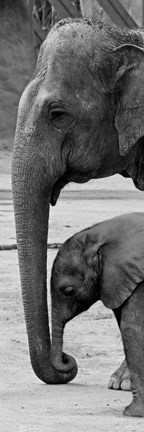 Framed Mothers Love Print