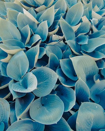 Framed Green Plants Happy Day 1 Print