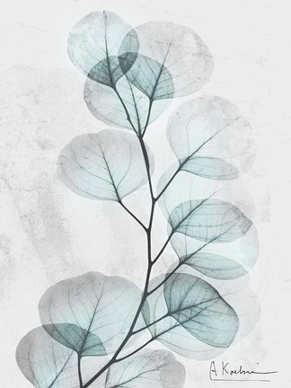 Framed Eucalyptus Glow 3 Print