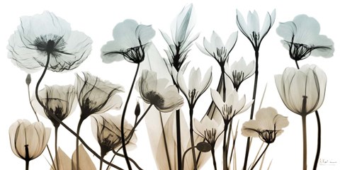 Framed Sandy Floral Breeze 1 Print