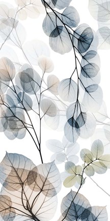 Framed Skyward Reach 2 Print