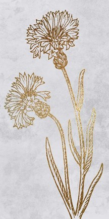 Framed Golden Reach Print