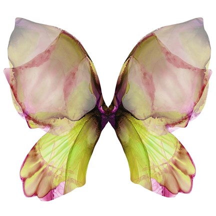 Framed Floral Butterfly 2 Print