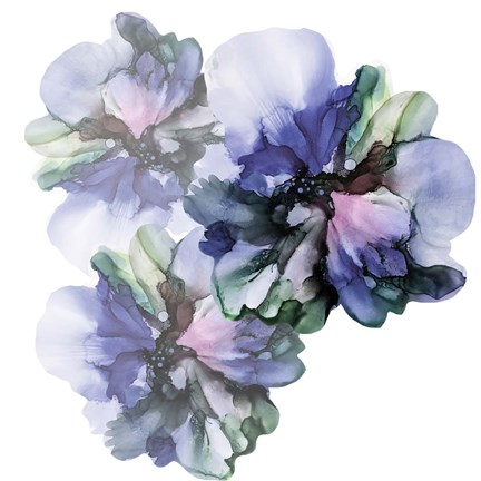 Framed Vibrant Floral Trio Print