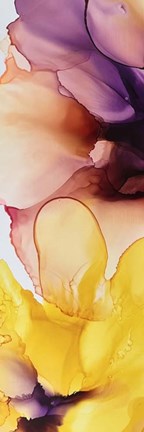 Framed Vibrant Pink Florals 3 Print