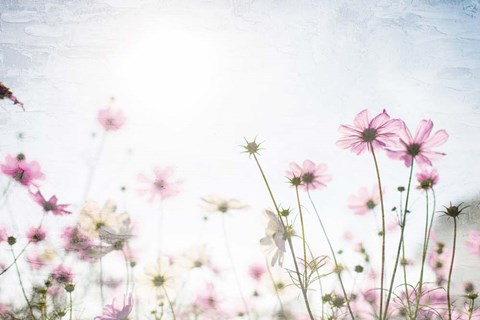 Framed Wildflower Spring Print