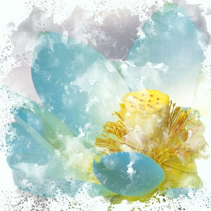 Framed Teal Lotus 2 Print