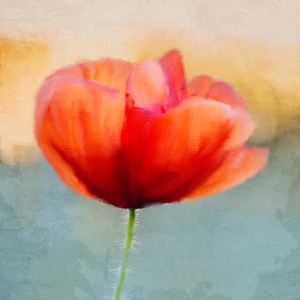 Framed Poppy Sunrise Print