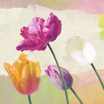 Framed Florilegium I (detail) Print