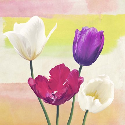 Framed Florilegium II (detail) Print