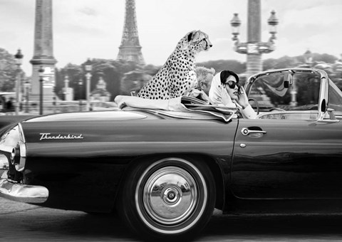 Framed In Paris Print