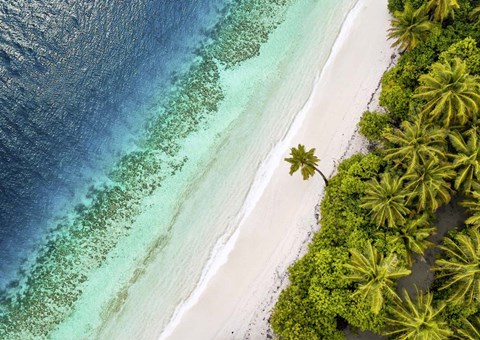 Framed Tropical Beach, Aerial View Print
