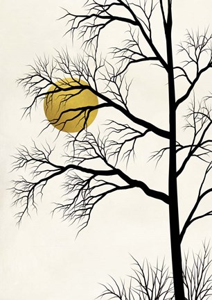 Framed Golden Sunset Print