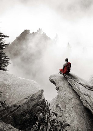 Framed Contemplate Print