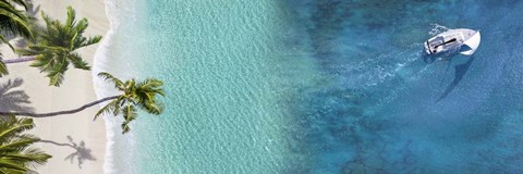 Framed Sailing Away Print