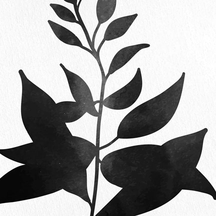 Framed Pressed 1 Print