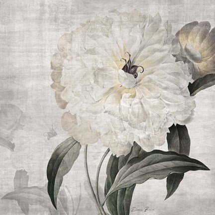 Framed Traditional Peony Print
