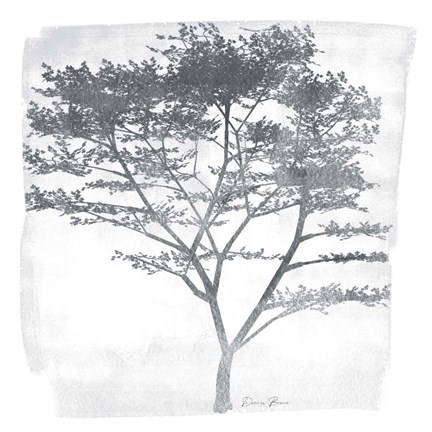 Framed Tree 1 Print