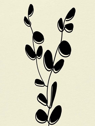 Framed Natural 3 Print