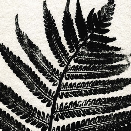 Framed Pressed Fern 1 Print