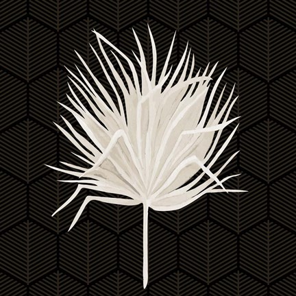 Framed On Black 2 Print