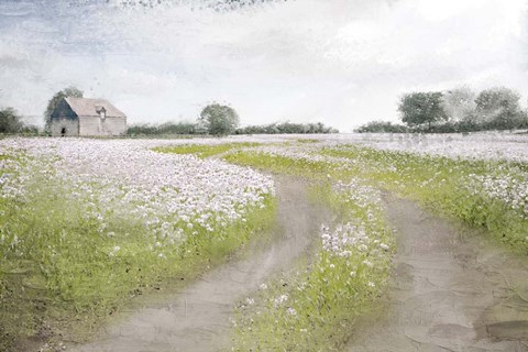 Framed Country Roads Print