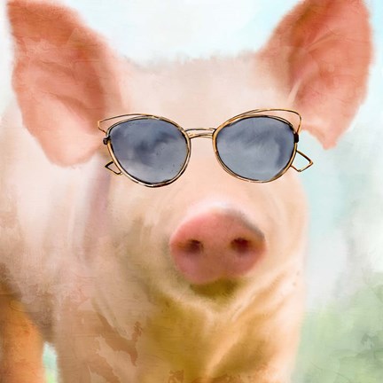 Framed Sun Glasses Pig Print