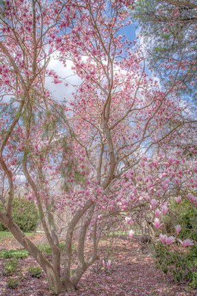Framed Switch Of Independence Print