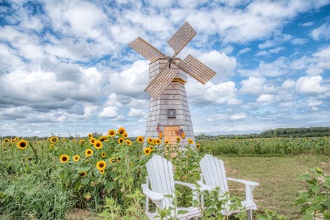 Framed Creative Surprise Print