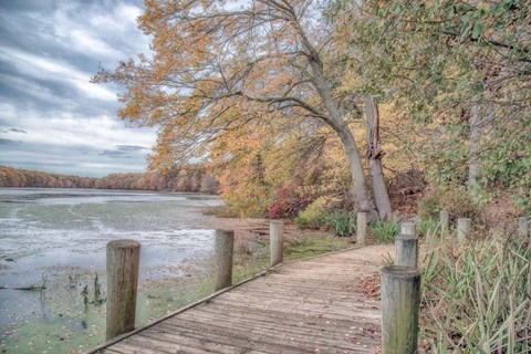 Framed Blydenburg Park Print