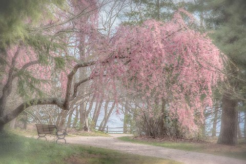 Framed Merciful Integrity Print