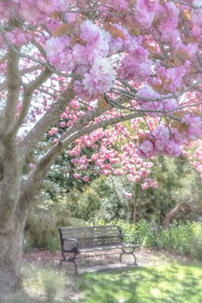 Framed Profile Of Attraction Print
