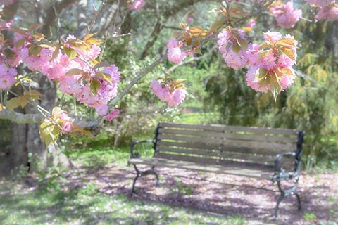 Framed Perpetual Struggle Print