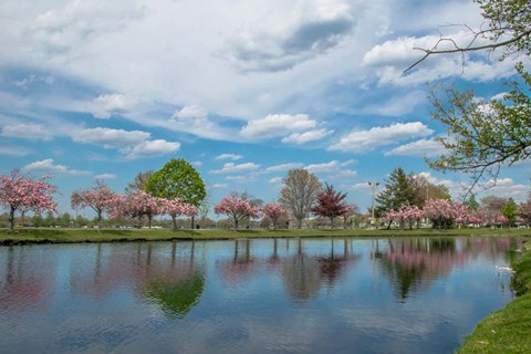 Framed Infinite Future Print