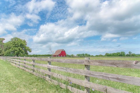 Framed Illustrious Stretch Print