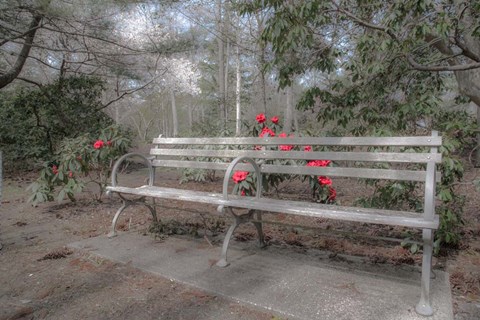 Framed Familiar Romance Print