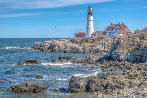 Framed Portland Head LightHouse Print