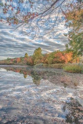 Framed Bayport Fall Print