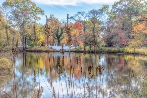 Framed Bayshore Print